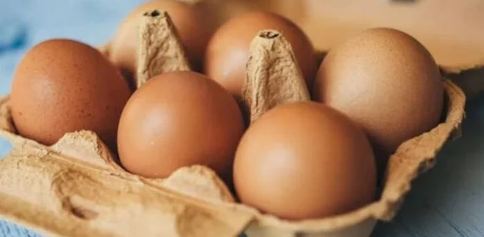 انڈے خوفناک وائرس کی وجہ : تحقیق میں ہوشربا انکشاف