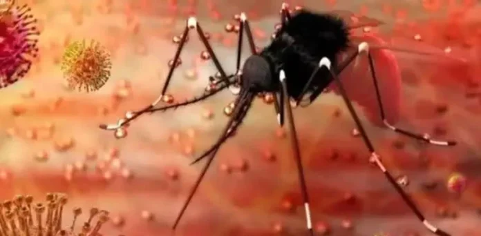 Zeka-virus